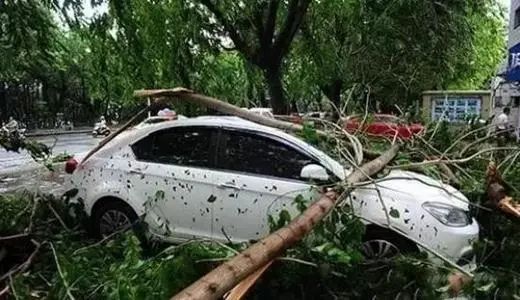 露天停车下冰雹怎么办会把车砸坏吗 汽车能承受多大的冰雹